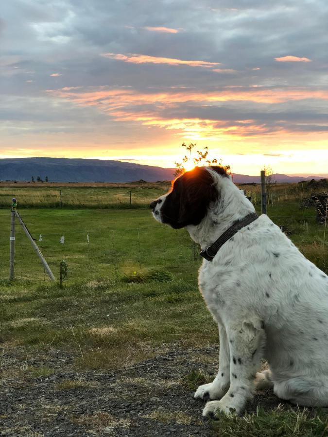 Asahraun Lodge Selfoss